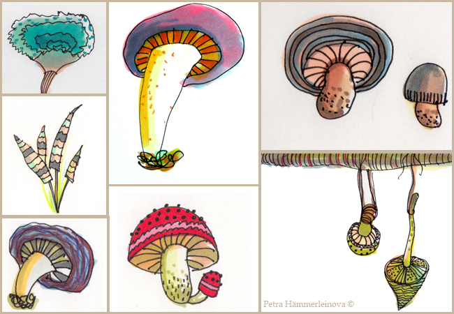 mushroom sketches